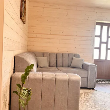 Lisovychok Apartamento *